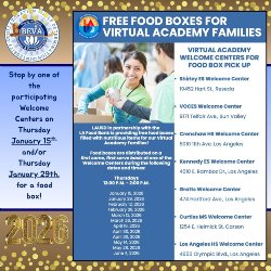 Food Boxes for Virtual Academy Families